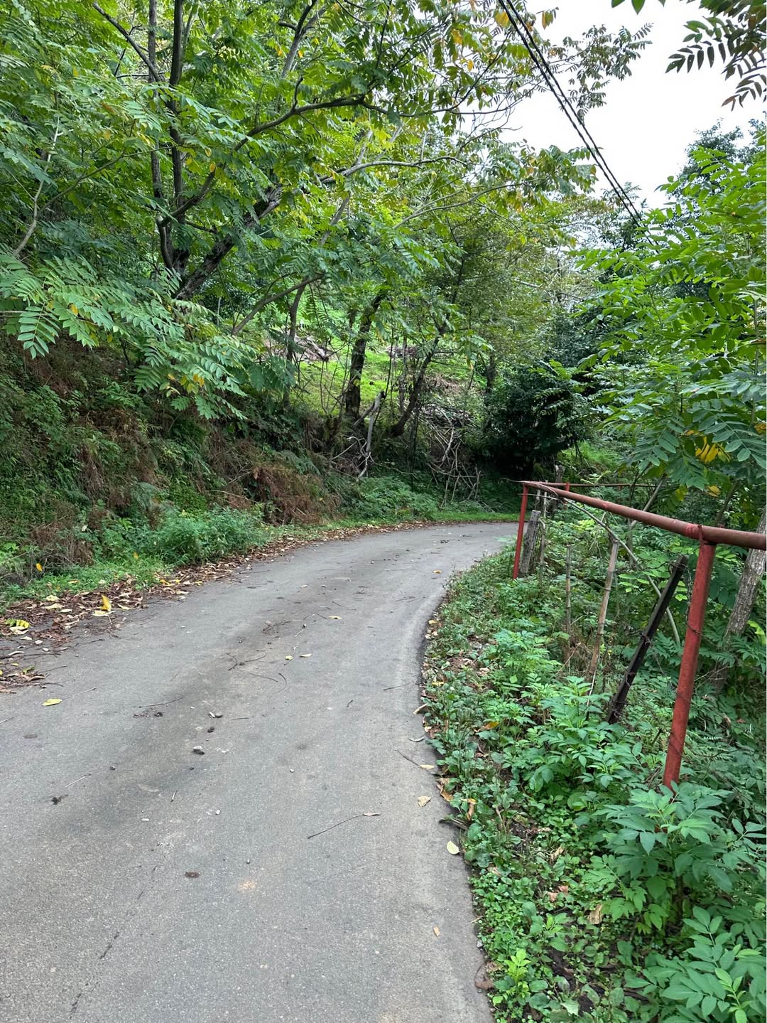 Land plot, Batumi