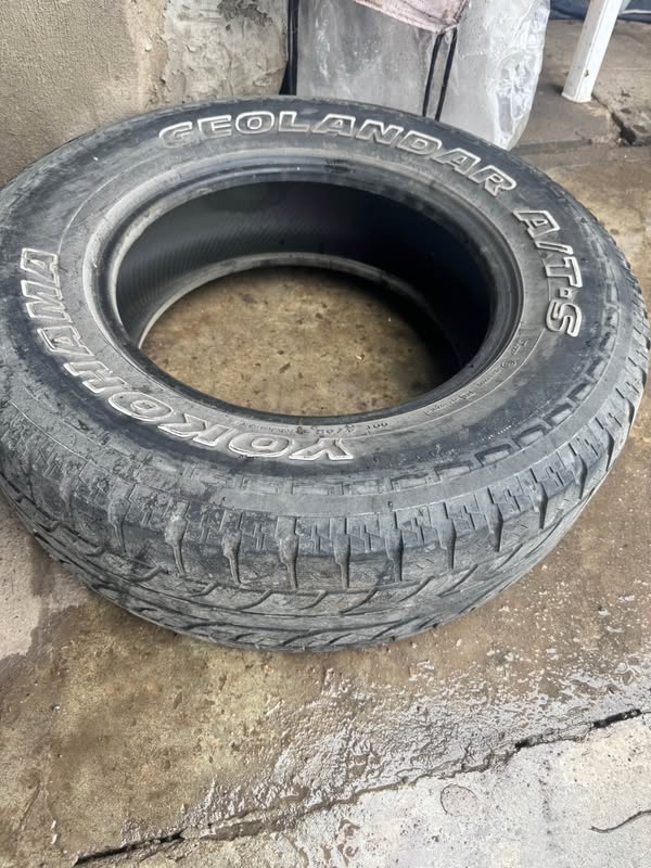 Avtomobil 2019