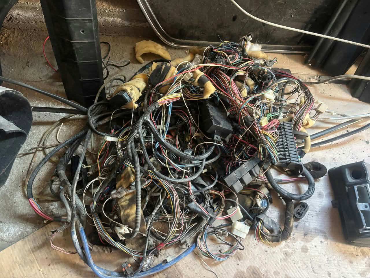 Վաճառվում է նիվի զամչաստներ։Զանգահարել ։
