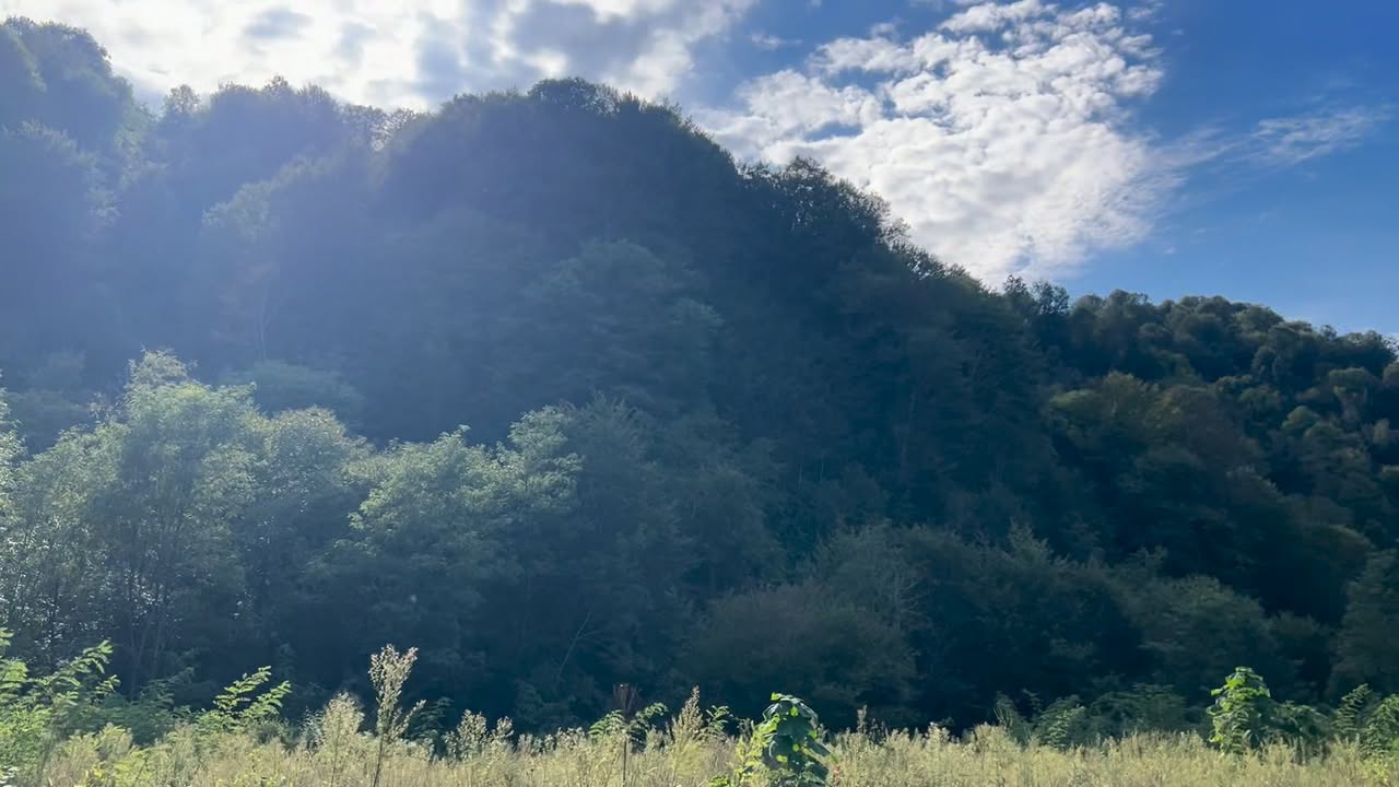 🏞⁠💎 1 ГА у реки Бжужа — 15$