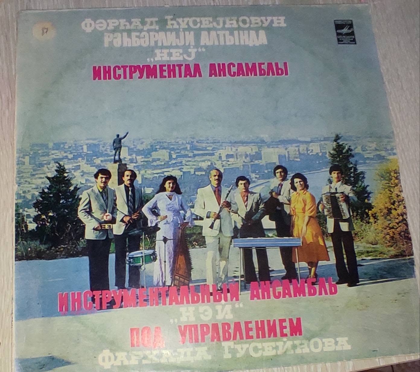 Vinil plastinka, Nej ansamblı