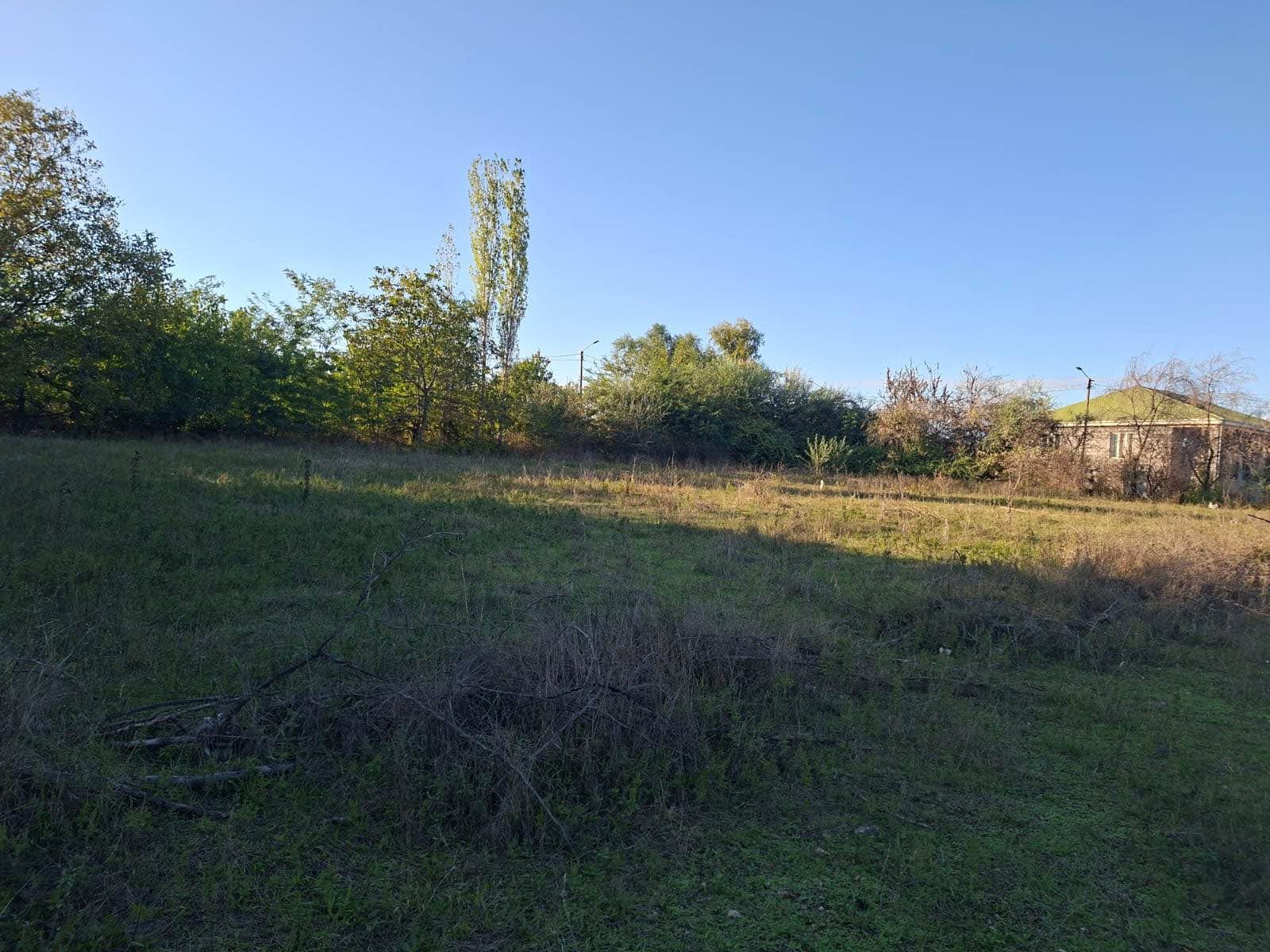 Torpaq sahəsi, Dmanisi — $10,500