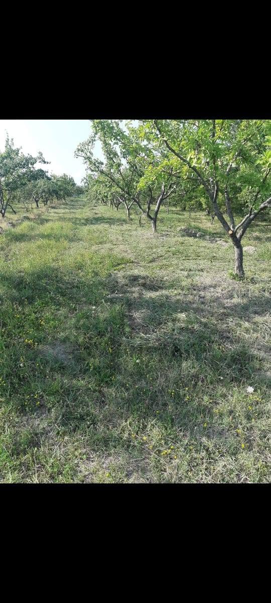 Land