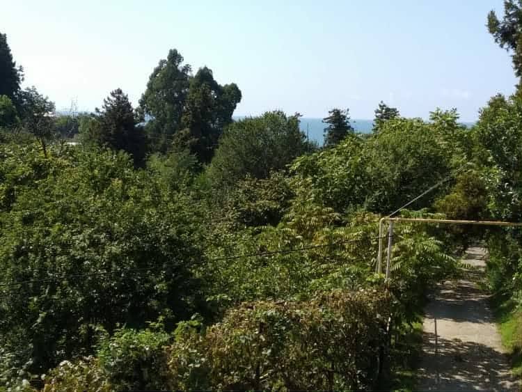 Torpaq hissəsi, Batumi
