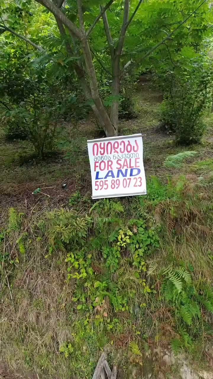 🌲⛰️ იყიდება 2,500 კვ.მ მიწის ნაკვეთი