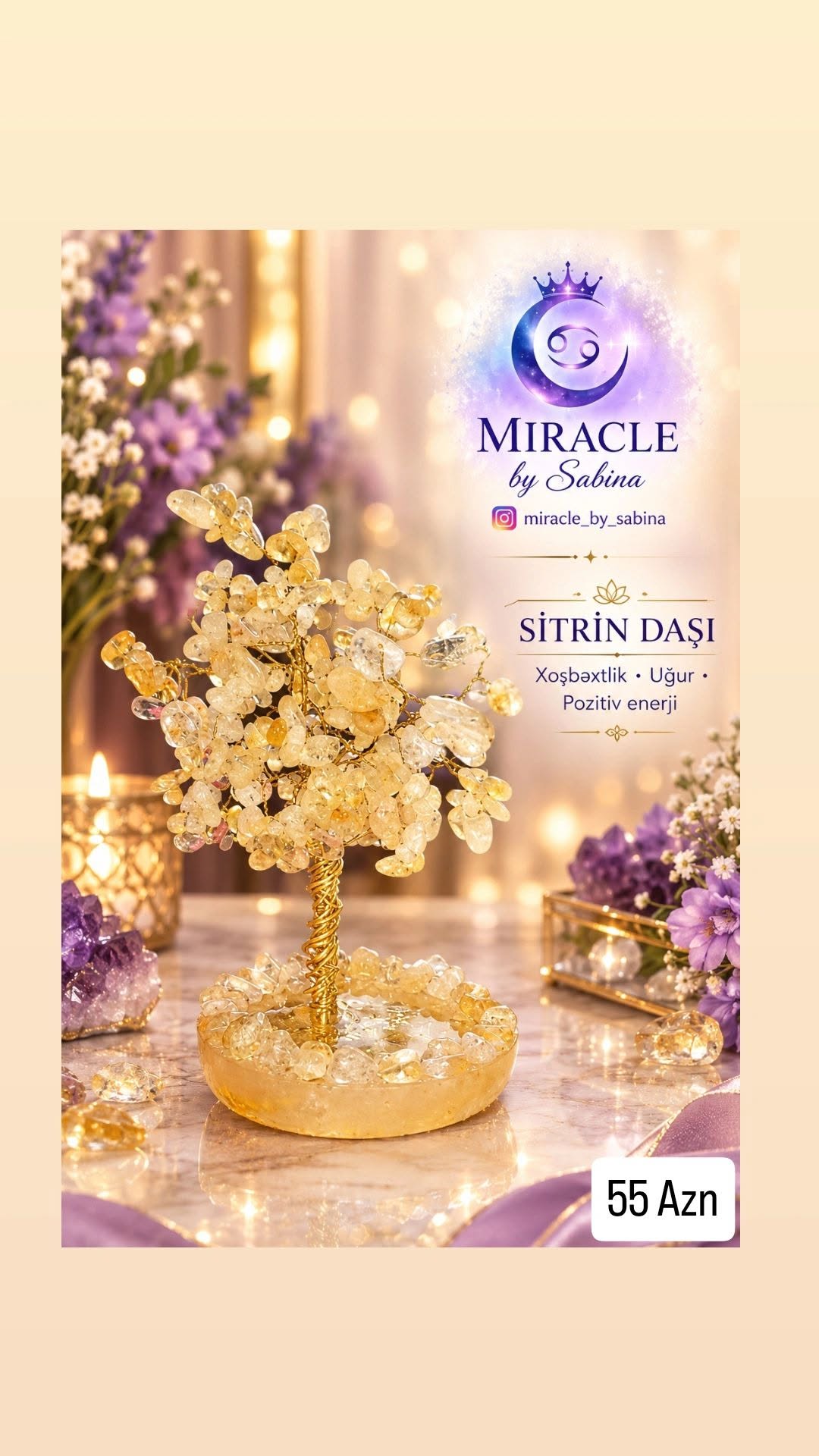 Sitrin daşı pul ağacı, 8x13 sm