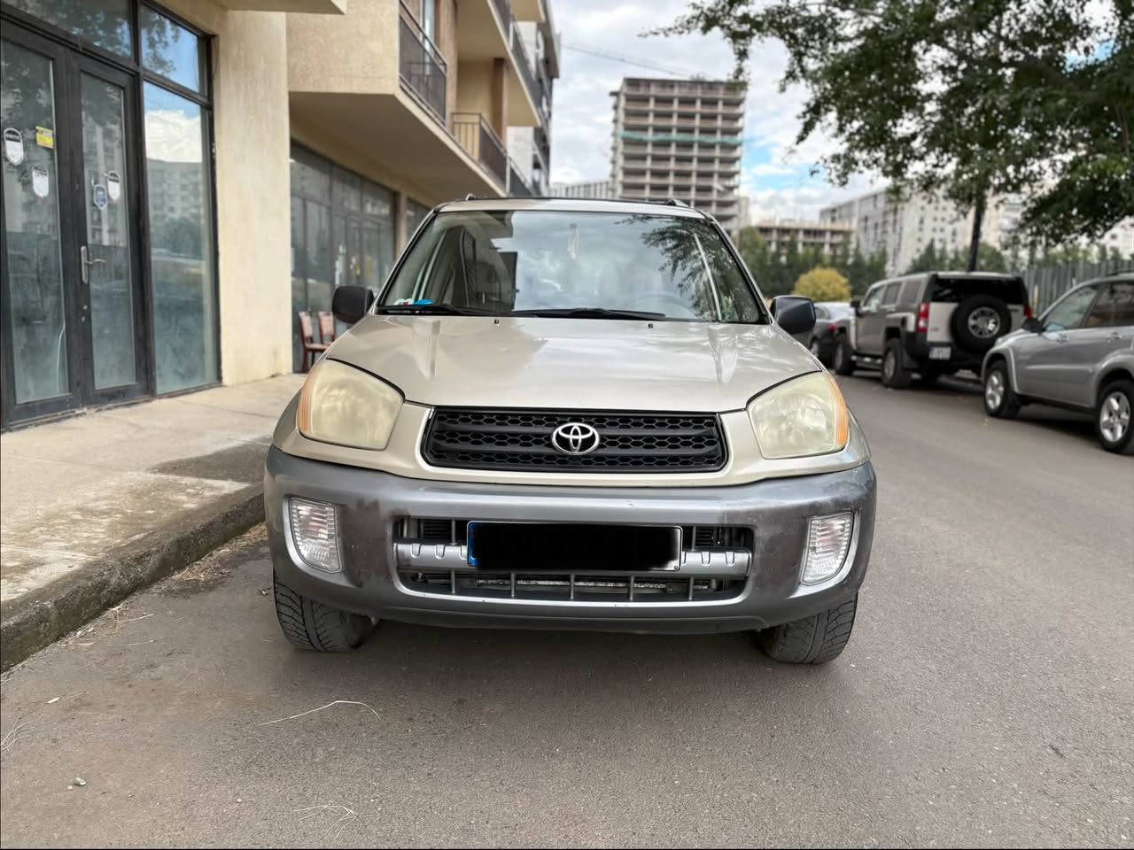 Toyota RAV4 2002