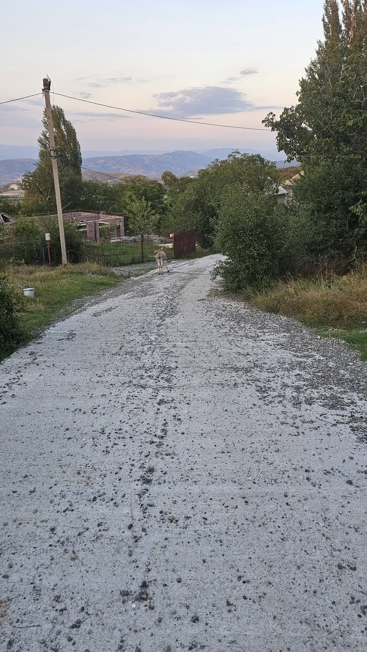 იყიდება იყიდება 843 კვმ -ის მიწის — 20$