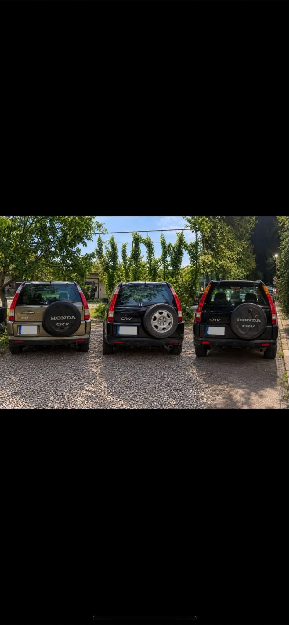 Böyük Dıqomda dağılır