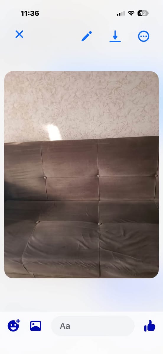 Brown tufted sofa