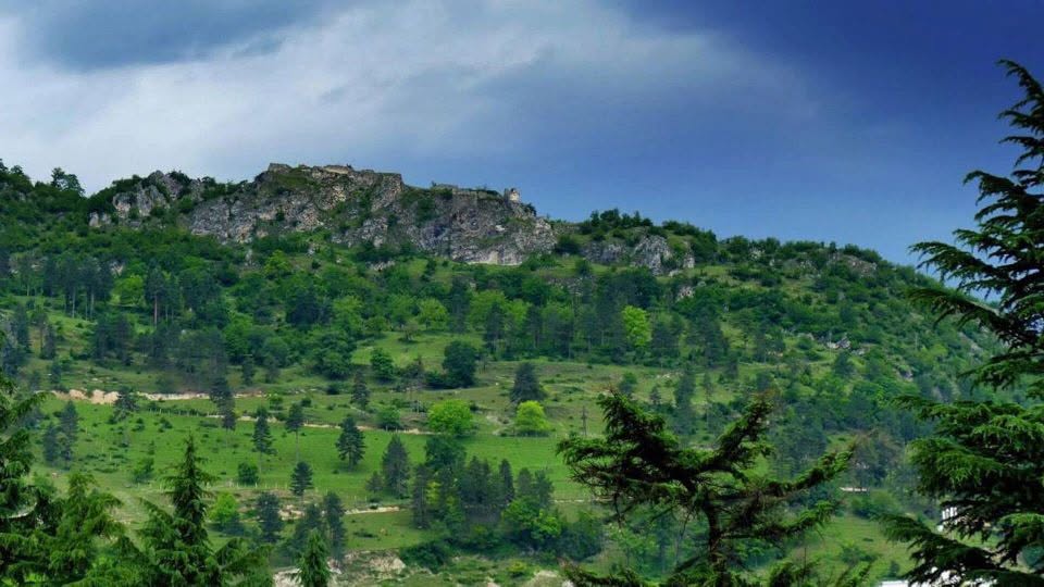 Satılır Tsolikauri üzümü. Miqdarı 2 tonna