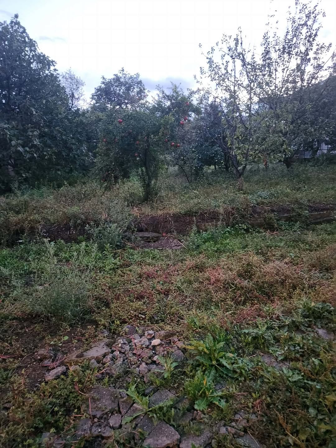 მიწის ნაკვეთი, თბილისი — $300