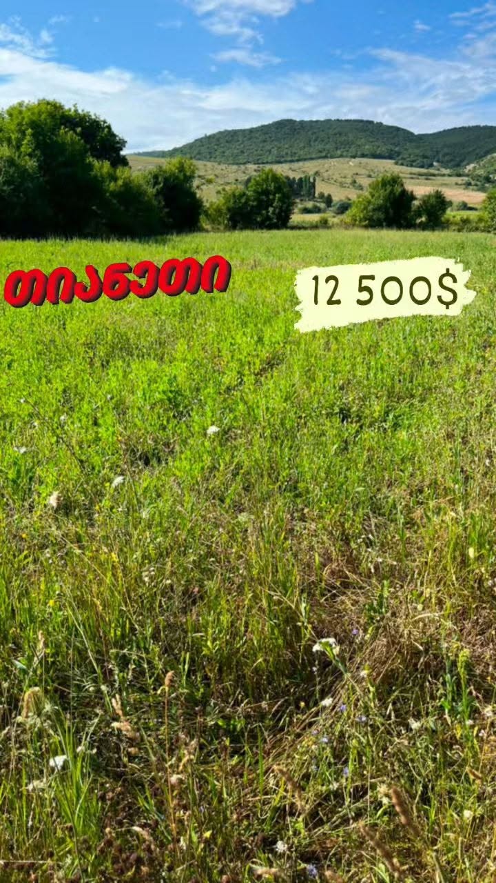 Arazi, Tianeti — $12,500