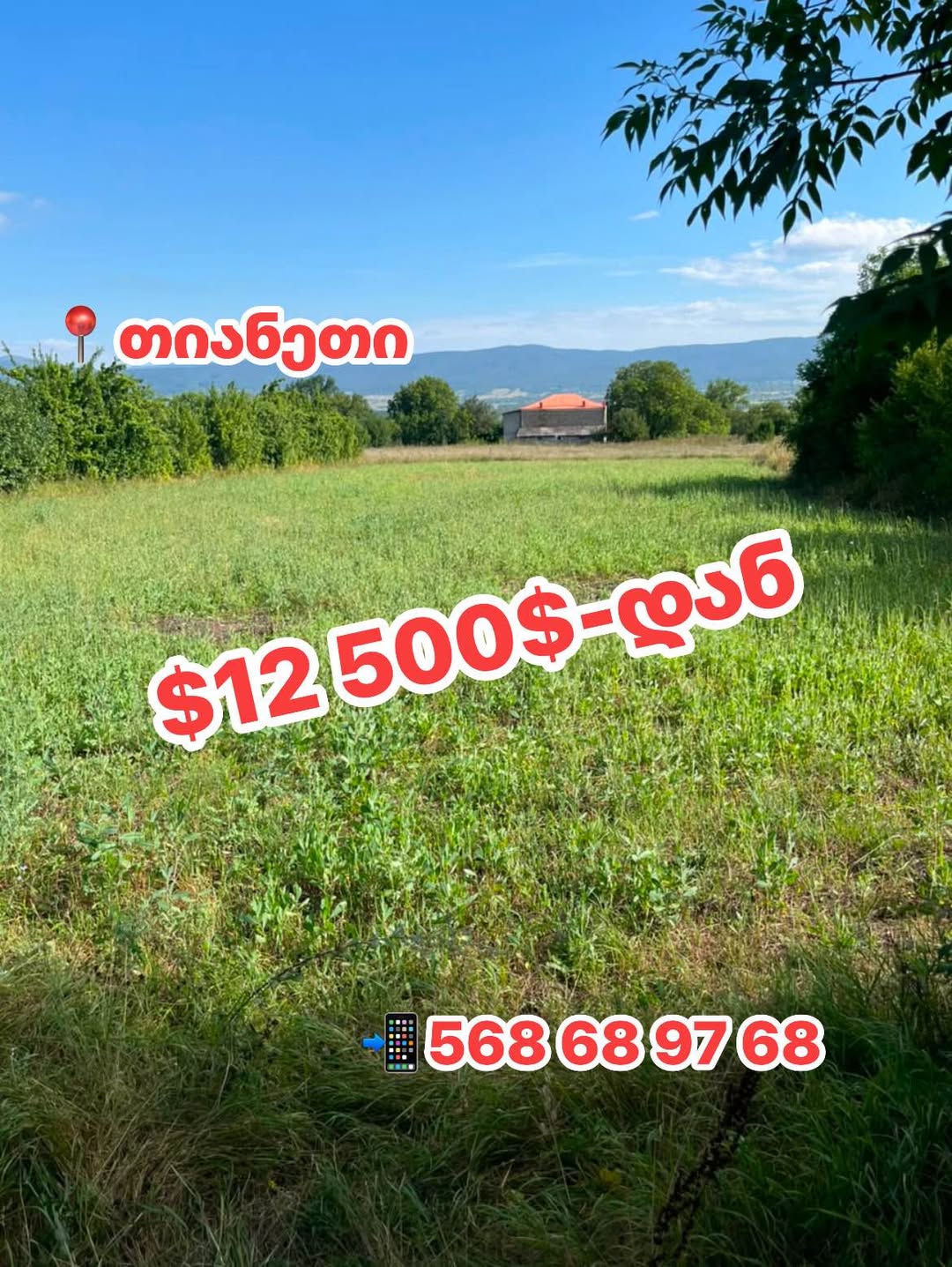 $12 500-დან‼️ იყიდება მიწის ნაკვეთი თიანეთში‼️