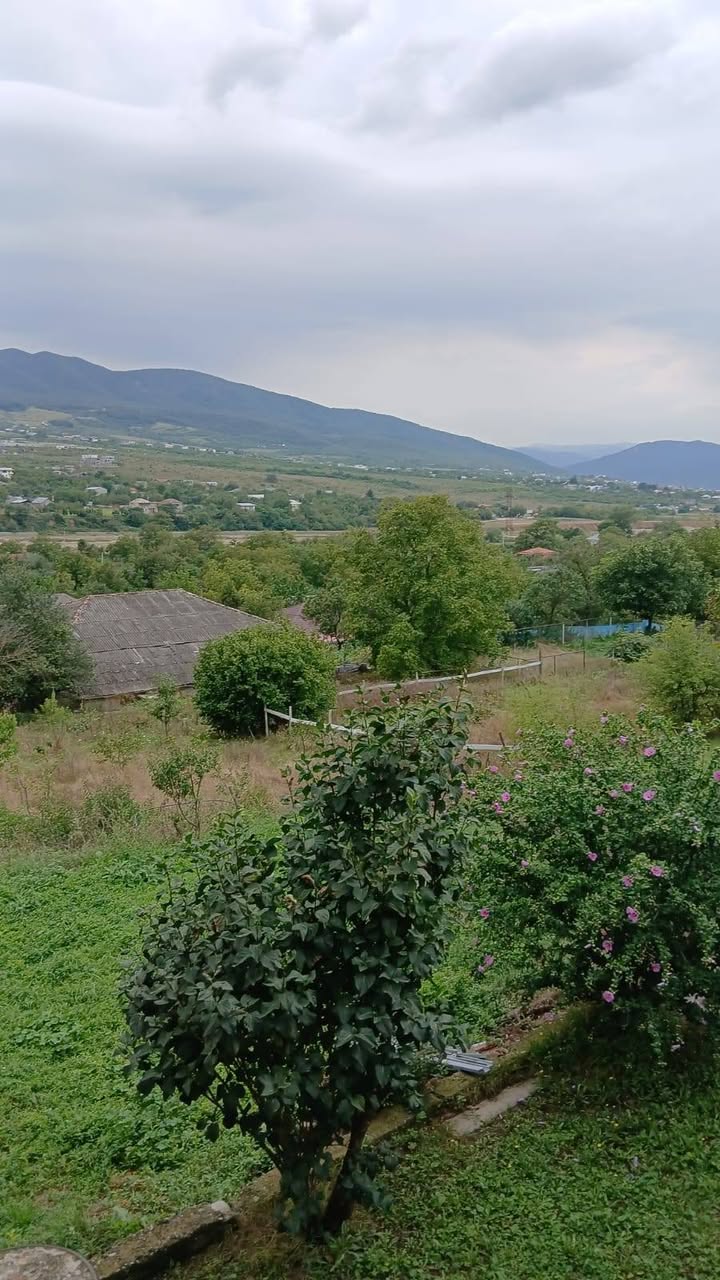 მიწის ნაკვეთი, მცხეთა — $60