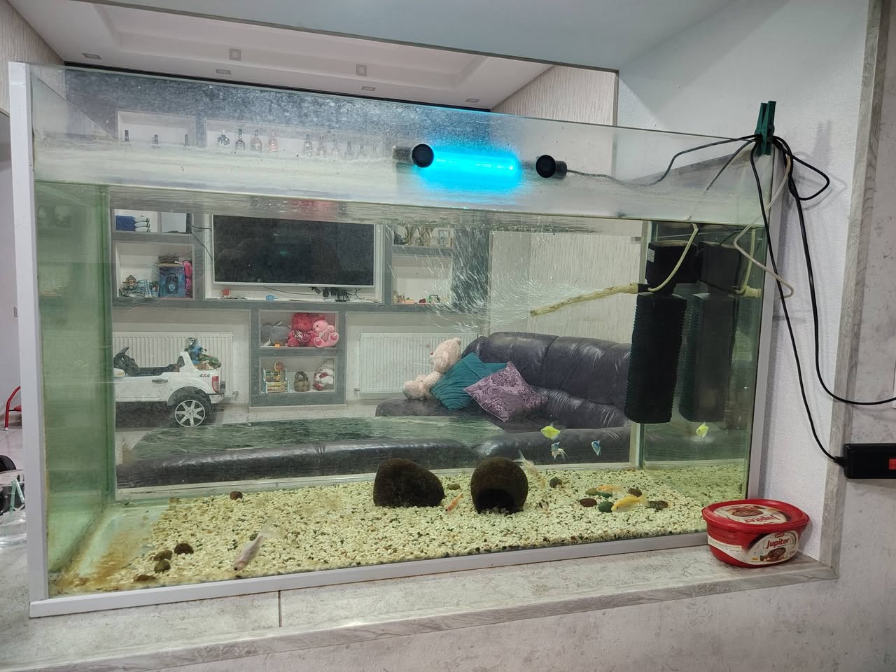 Satılır akvarium (270 litr) simvolik qiymətə - 300₾