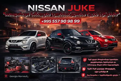 Nissan 2010
