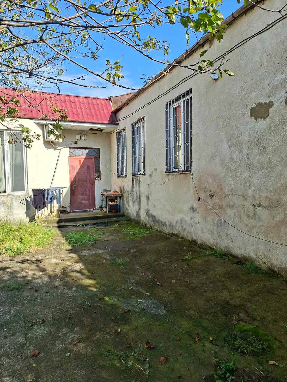 Sahli, Kuxetisi — $60.000