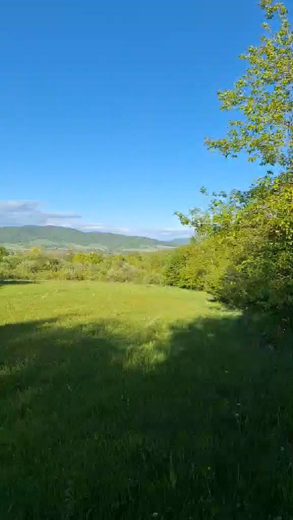 Հողակտոր, Թիանեթի — $45,000