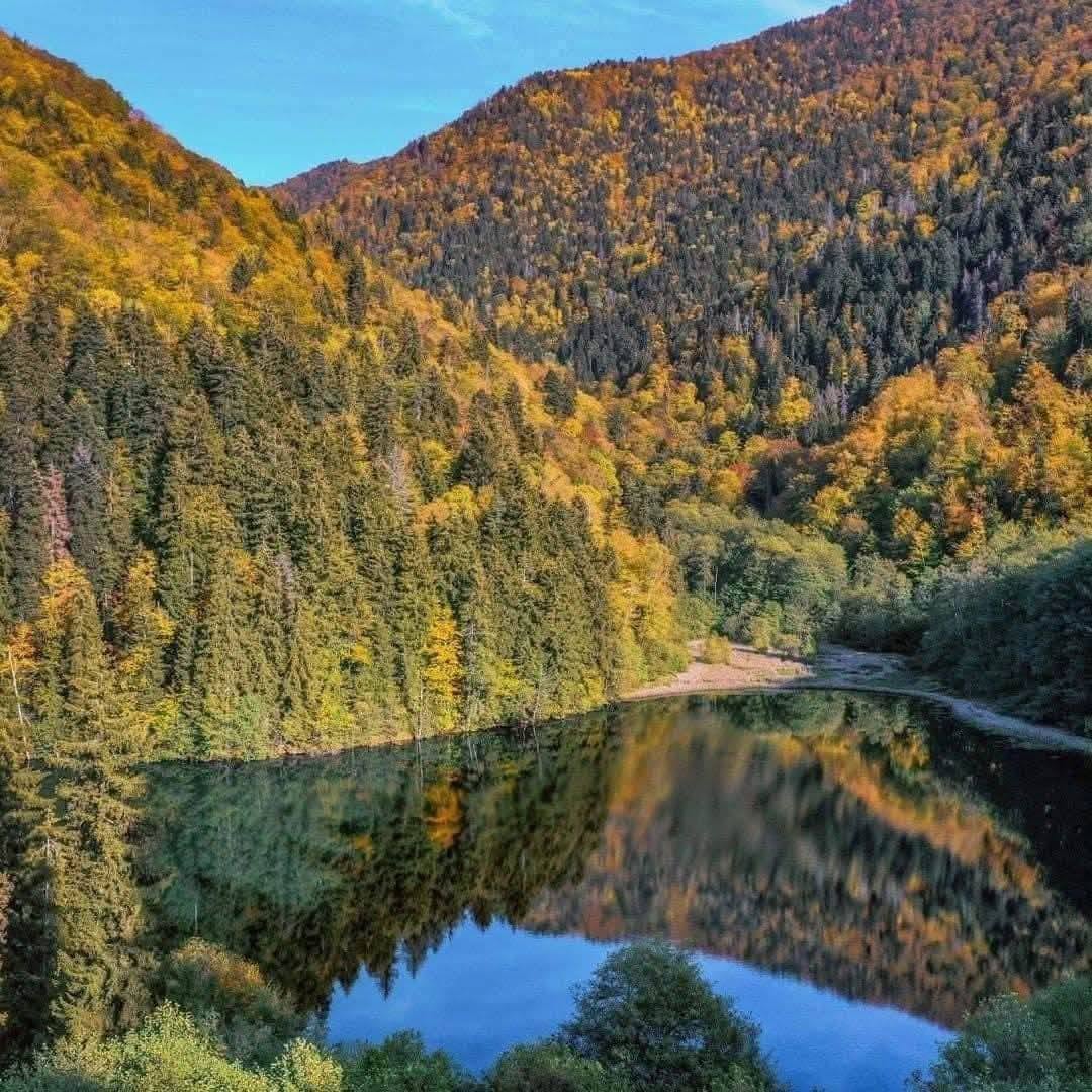 24 ოգոստոսի փոխարեն հոկտեմբերի 24-ին (շաբաթ) պահանջարկի հետևանքով մենք պլանավորում ենք էքսկուրսիա 2008-ը 50₾ գնով:
