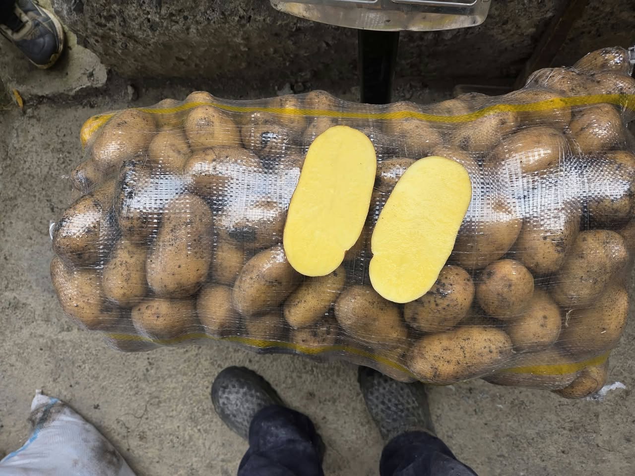 ​🥔 გრძელდება შეკვეთების მიღება! 🚚💨 შეუკვეთეთ