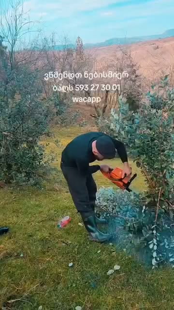 ნებისმიერი ბაღის გაწმენდა