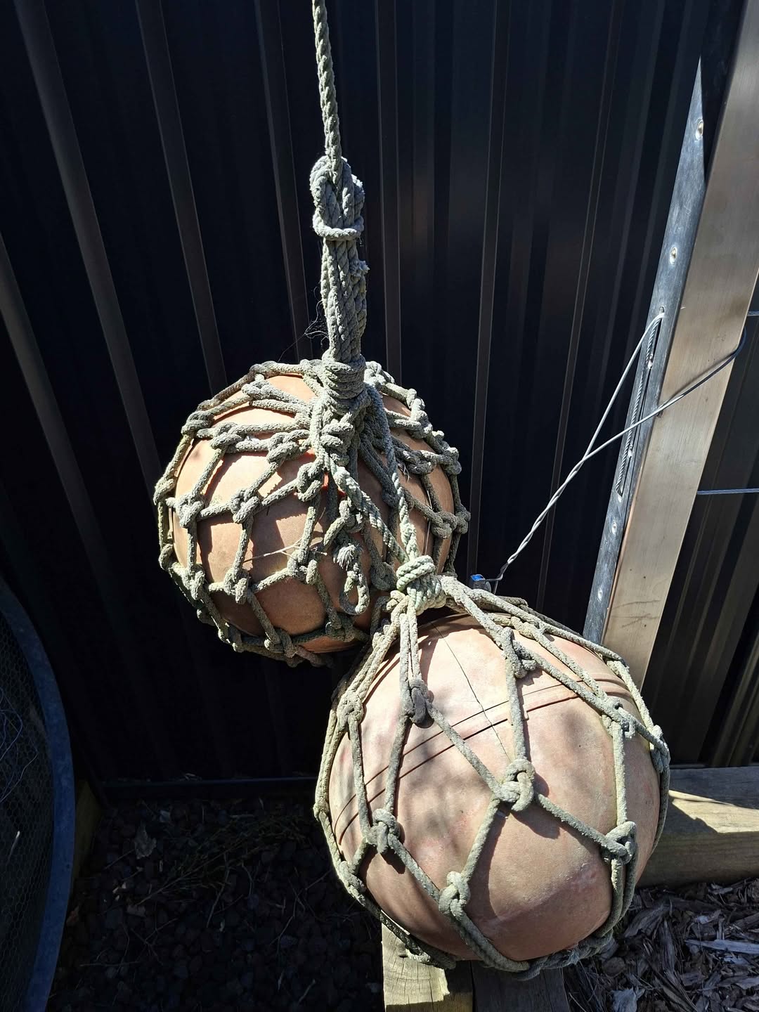 Antique Japanese glass fishing float in a rope net