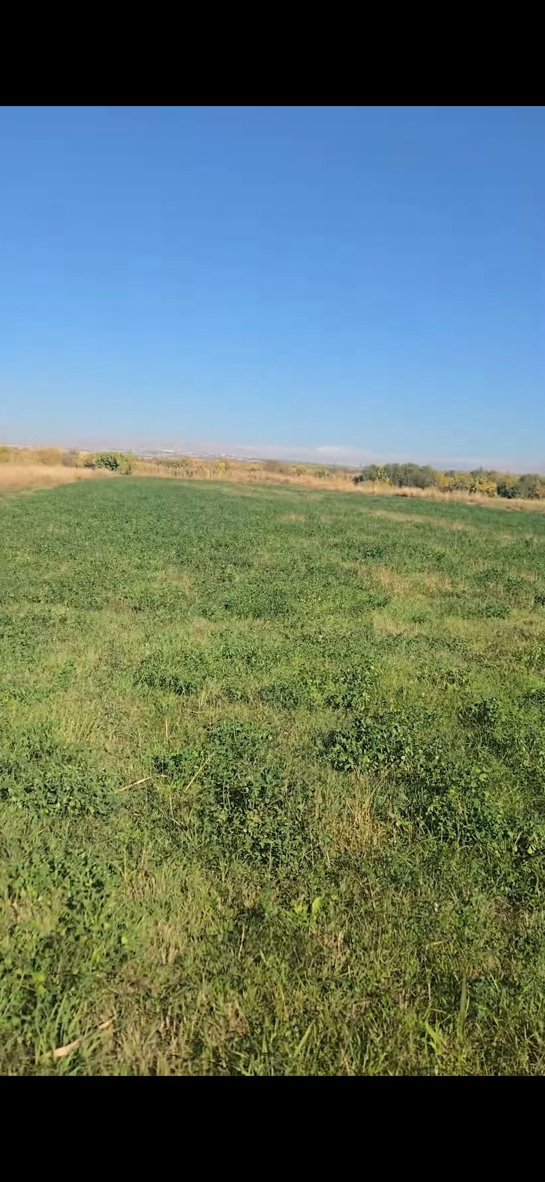 Mənzil — 330֏