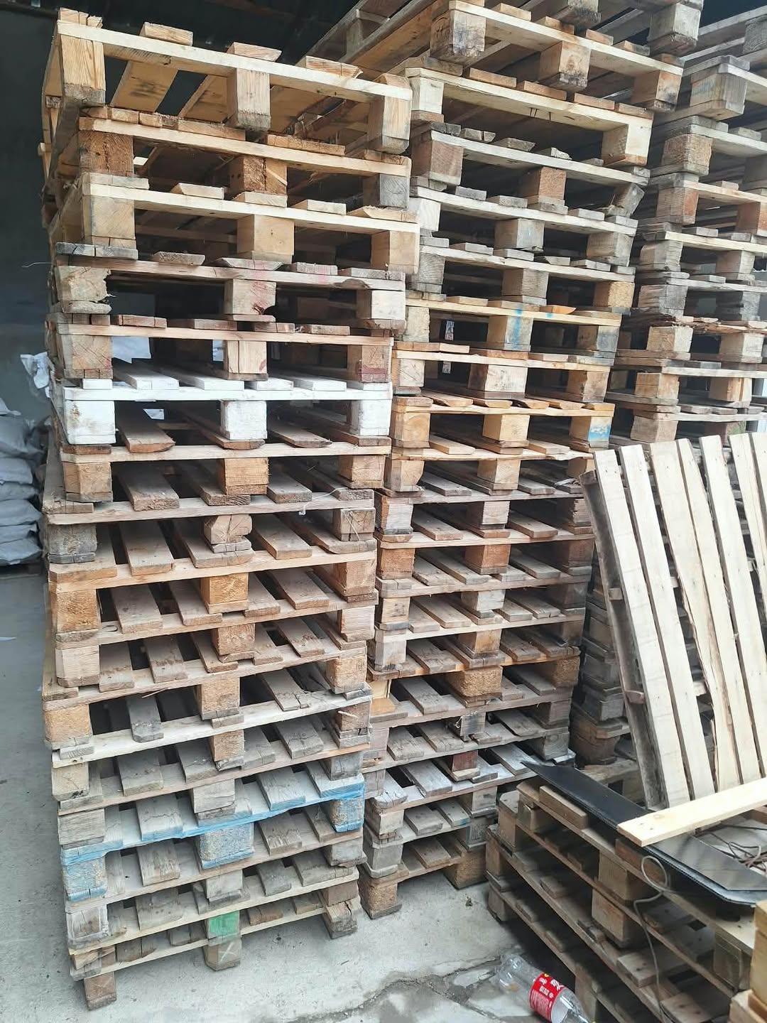 Padonlar Yaxşi Vezyetde 70-80 dene var