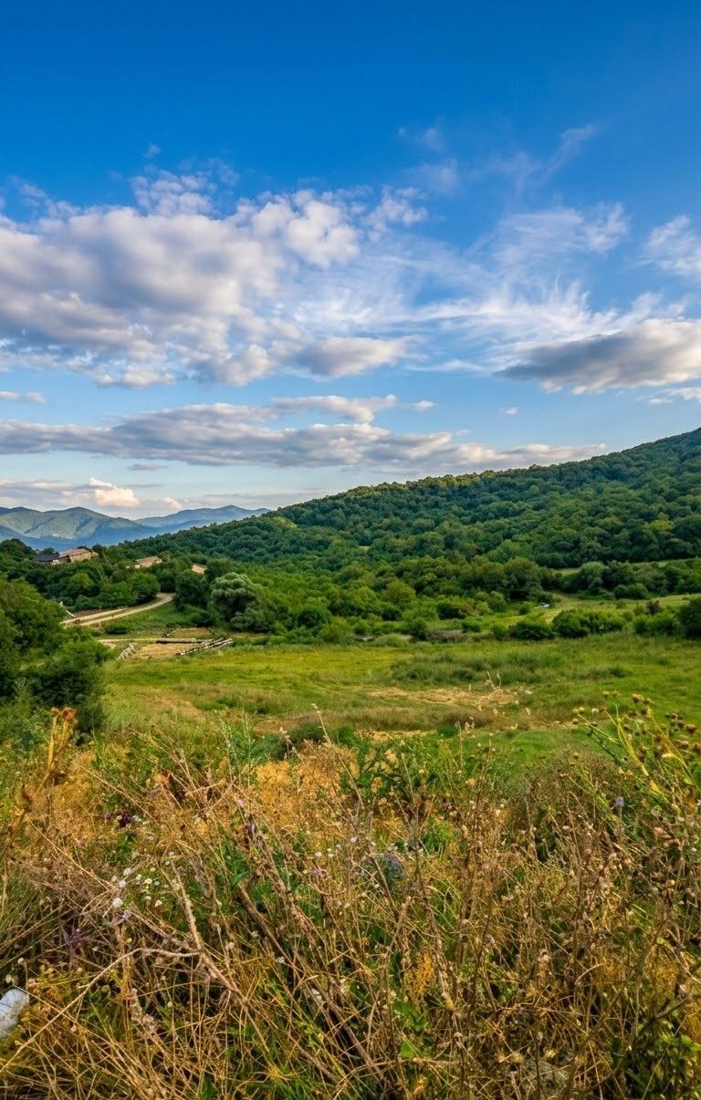 მიწის ნაკვეთი, თბილისი