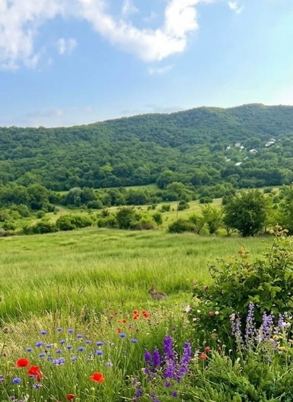 🏔️ Ucarma yüksək dağ statusuna malikdir