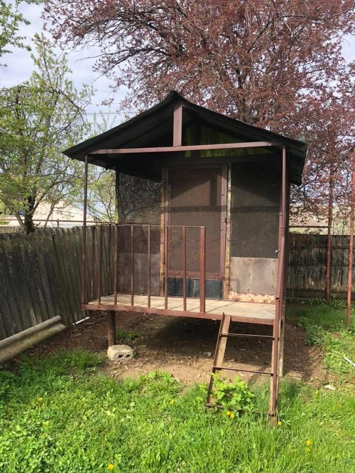 2 metre genişliğinde, 1,700₾'ye ayvanda satılık mısıristrovství