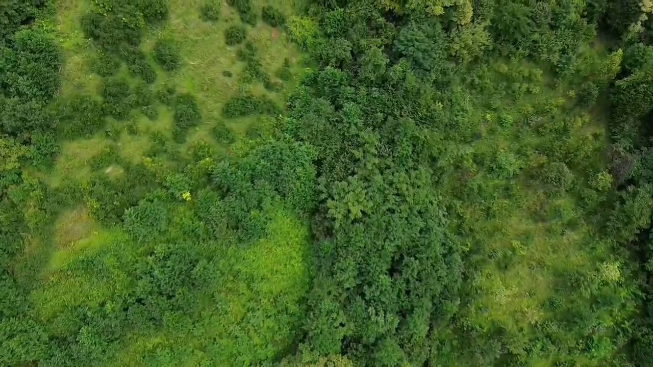 Land plot, Batumi — $50