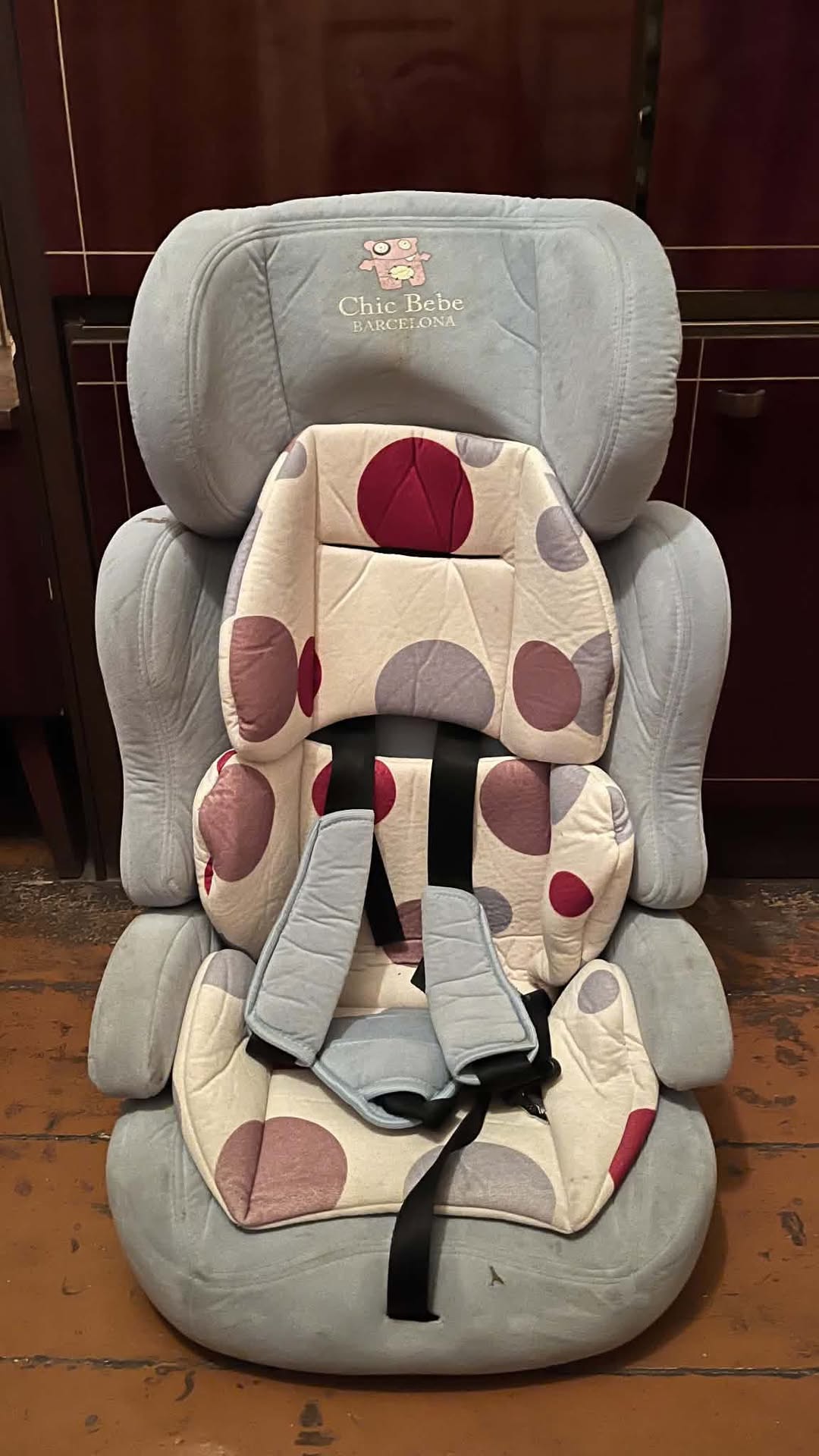 Chic Bebe child car seat