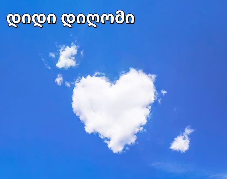 თუ გსურთ თქვენი სახლი სუფთა და