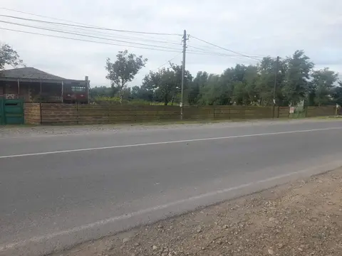 Торпаq — 55$