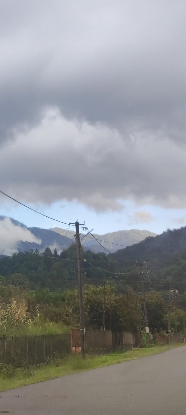 საოჯახო ჭურჭელი ბიბი ჰოუმი BB HOME