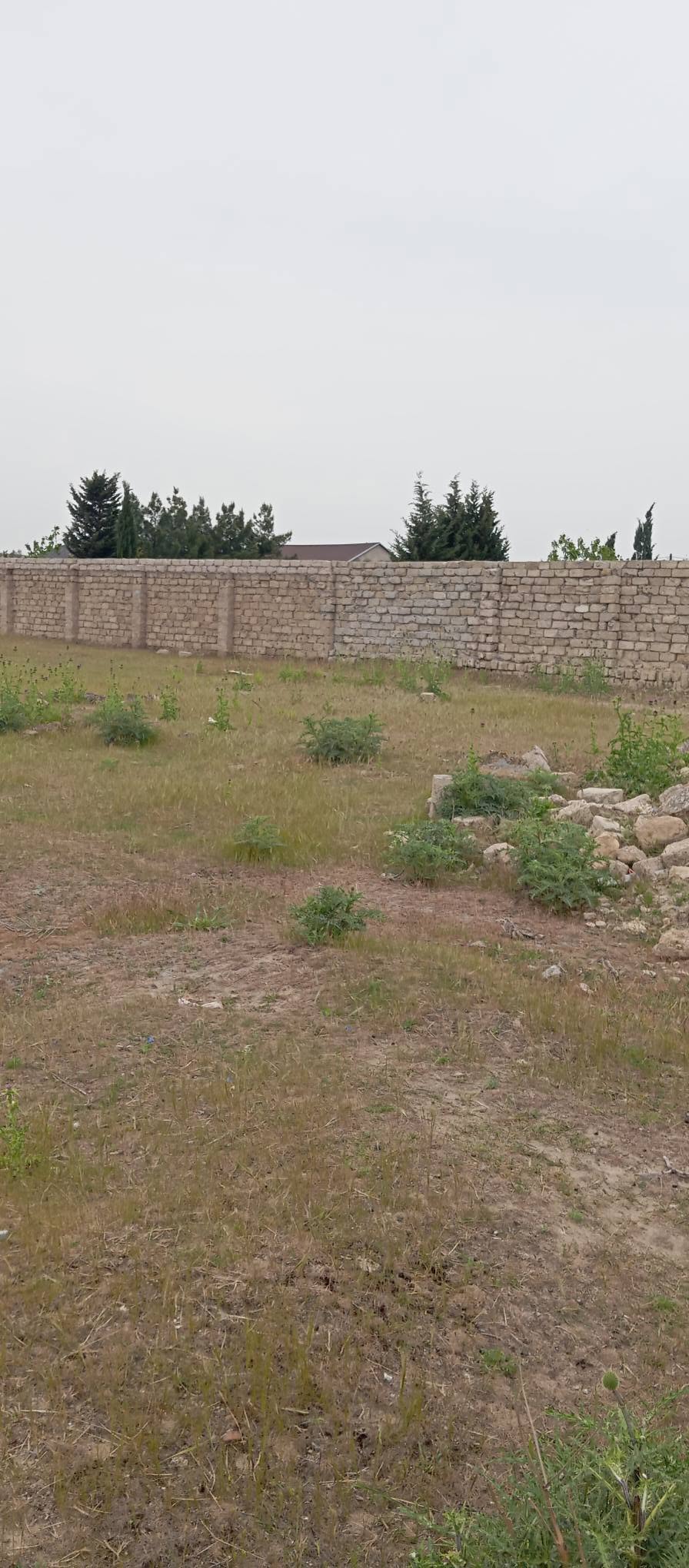 Torpaq sahəsi, Bakı